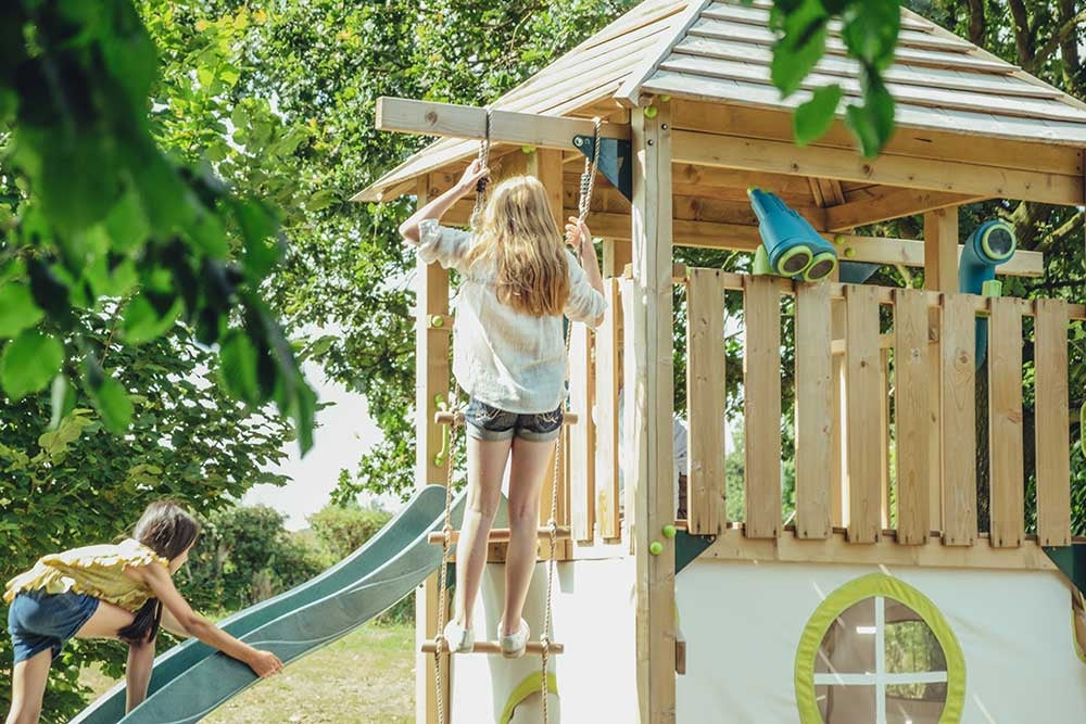 Plum Warthog Wooden Playcentre